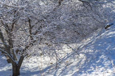 The mountains. Winter is coming and together with the falling snow, a sense of togetherness descends, making this winter wonderland the perfect time and place for a romantic getaway.の写真素材