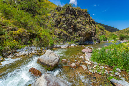 Experience the serene flow of the river through a rocky canyon. Be captivated by the stunning beauty of nature in the heart of the mountains. Immerse yourself in a calm and peaceful environment.の写真素材