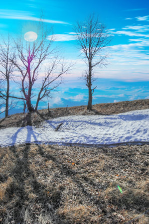 Symbolizes the end of winter and the beginning of spring. Creates a peaceful and melancholic atmosphere. Represents transition and change in nature.の写真素材