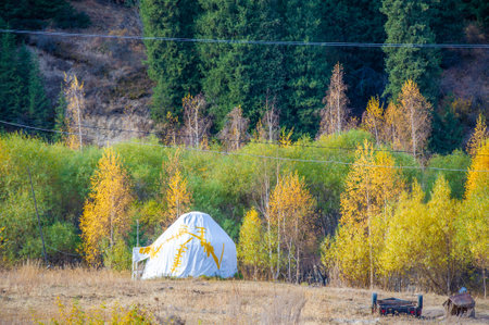 Let the tranquility of these breathtaking trees in the rugged mountains inspire your wanderlust! Embark on an exciting adventure among trails and rocky wondersの写真素材