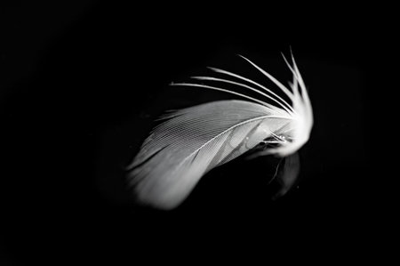 Contrast of light and dark in a minimalist composition. Symbolic representation of warmth and...