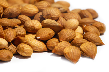 Apricot kernels, a by-product of the apricot fruit, are a rich source of protein, vitamins and carbohydrates. Moreover, it can be used for medicinal purposes and for the formation of food ingredients.の写真素材