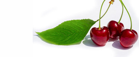 Fresh and juicy cherries, rich in vitamins. The white background brings out the bright colors of the fruit. A tasty and healthy snack for vegetarians. Ripe and ready to eat taste.の写真素材
