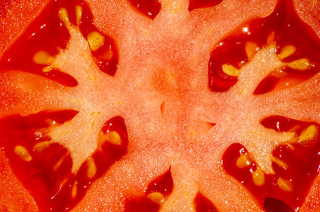 Tomatoes are rich in essential vitamins and nutrients. Growing tomatoes can be a rewarding experience for gardeners. Fresh, juicy tomatoes straight from the vine are a delicious addition to any dish.の写真素材