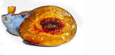 Create a healthy garden with plum trees full of juicy fruits. Harvest vitamin-rich plums for delicious recipes. Grow ripe plums in your backyard for a bountiful harvest.の写真素材