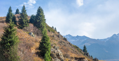 Enjoy the impressive beauty of the Tien Shan mountains and dense forests Witness breathtaking panoramas that will refresh your soul Immerse yourself in picturesque landscapes of spruce and birch treesの写真素材