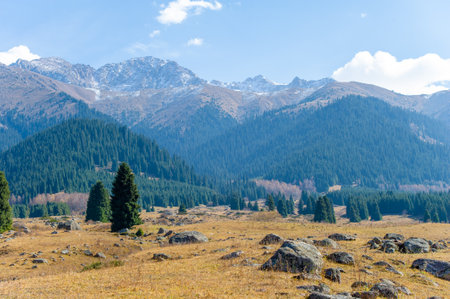 Experience the beauty of autumn in all its glory. Immerse yourself in the vibrant colors of nature and breathtaking scenery. Find inspiration and tranquility among majestic peaks and dense forests.の写真素材