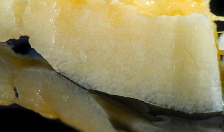 A close focus on the melon's outer edge reveals a frosty, translucent layer transitioning into...