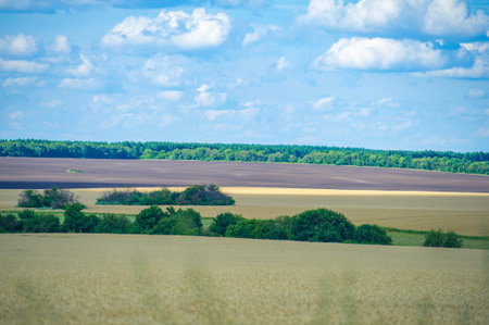 Vast wheat fields and patches of verdant shrubs form a layered mosaic of color, framed by distant...