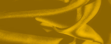 Rich golden folds sweep in soft arcs, cradling pockets of shadow and light, evoking a quiet drama....
