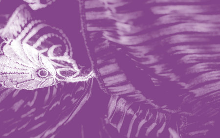 A regal embroidered crest crowns the edge of flowing purple fabric, where rippling pleats and subtle sheen form a refined statement of elegance. Delicate embroidery interplay exudes a majestic aura.の写真素材