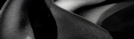 Black fabric folds with a velvety texture, highlighted by soft light. The curves create a flowing, organic composition that emphasizes the fabric's tactile richness.の写真素材