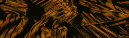 Fabric surface in deep black and rich golden light, revealing a velvety texture and ornate folds. Strong contrasts between light and shadow emphasize the flowing design.の写真素材