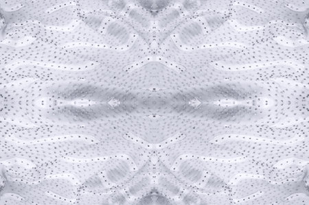 Seamless kaleidoscope. The fabric is silky white and gray. An ultra-modern print and a delicate, airy quality combine in this chiffon with an abstract silk print.の写真素材