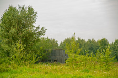 Summer photo. Riverbank, land along or down to a river or lake.の写真素材