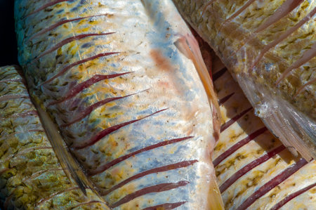 The fish is ready to eat. Fish contains high quality protein and other essential nutrients and is an important part of a healthy diet.の写真素材