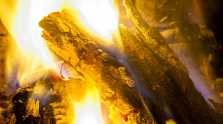 Fire. Fire is an important process affecting ecological systems around the world. Positive effects...