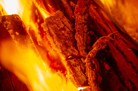 Fire. Fire is an important process affecting ecological systems around the world. Positive effects...