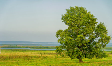 Summer landscape. River in the European part of the world. Sunny warm day. Green trees, grass. Blue sky with a small cloud cover.の写真素材
