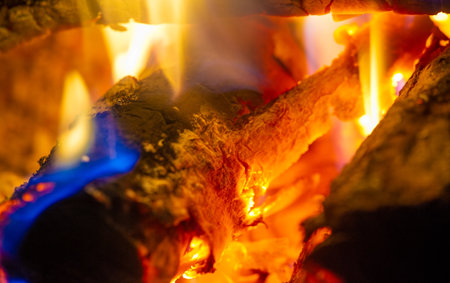 Fire in the fireplace.