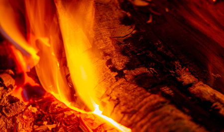 Fire in the fireplace. In the warm light of a campfire, our pupils naturally dilate.