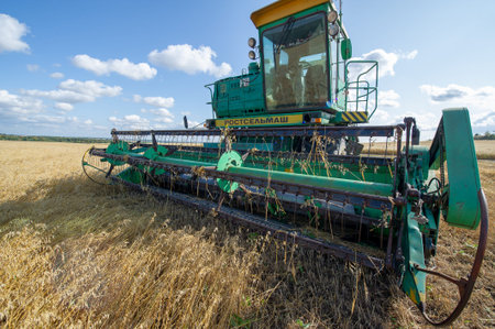 Summer photo of barley harvesting, Combine harvester, a machine commonly used for harvesting grain crops 2019 09 06 Tukaevsky district Tatarstan Russiaの写真素材