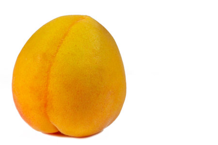 Apricot. Many people have special memories of the smell and taste of sweet ripe apricots on a hot summer day. Maybe they were visiting their grandmother or nibbling fruit over the neighbors fence.の写真素材