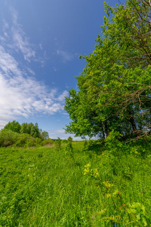 Spring photography, landscape with a cloudy sky. water meadows, floodplains, ravines. an area of ââlow-lying ground adjacent to a river, formed mainly of river sediments and subject to flooding.の写真素材