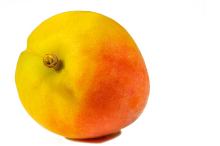Apricot. Many people have special memories of the smell and taste of sweet ripe apricots on a hot...