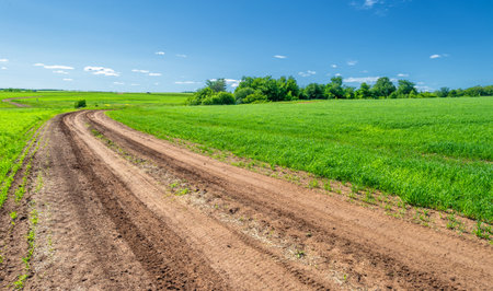 Spring , landscape, dirt road or path made from the earth's surface through which it passesの写真素材