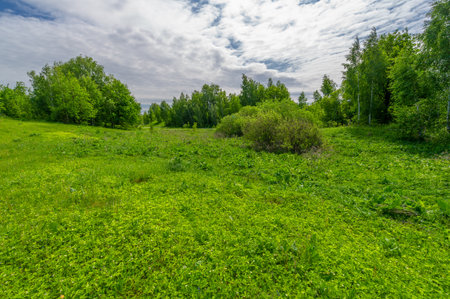 Spring photography, landscape with a cloudy sky. water meadows, floodplains, ravines. an area of ââlow-lying ground adjacent to a river, formed mainly of river sediments and subject to flooding.の写真素材