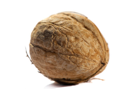 Walnut. Walnut is a stimulant, but too much caffeine is a depressant.の写真素材