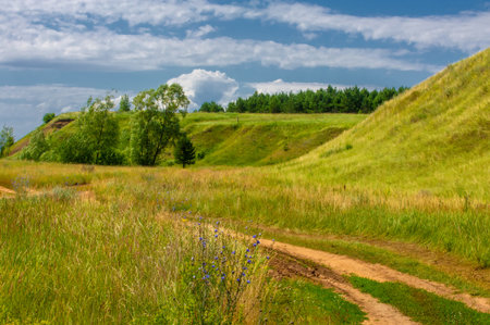 Summer landscape, river floodplain, picturesque shores, bright green grass with wild wildflowers, blue sky with white clouds, summer tender warm days,の写真素材