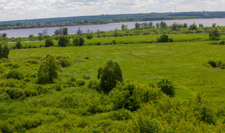summer photography, mountains, pine, birch, oaks, hills, blue sky with white clouds, dirt road, winds sway among fir trees, bright red strawberries ripenの写真素材