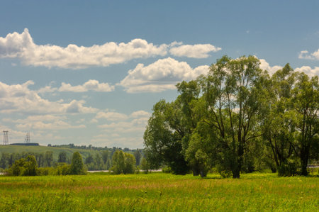 Summer landscape, river floodplain, picturesque shores, bright green grass with wild wildflowers, blue sky with white clouds, summer tender warm days,の写真素材