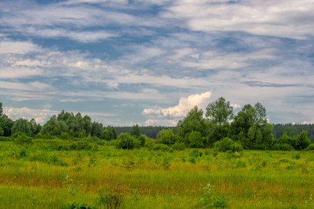 summer landscape, thunderclouds, blue sky, floodplain meadow fields, the aroma of summer colors and a variety of wildflowersの写真素材