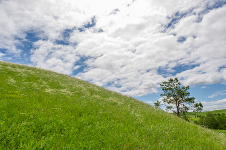 Spring photography, meadows, fields, ravines, hills, rural landscape. A deep, narrow gorge with steep slopes. A naturally raised area of ââland, not as high or craggy as a mountain.の写真素材