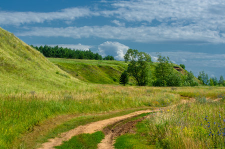 Summer landscape, river floodplain, picturesque shores, bright green grass with wild wildflowers, blue sky with white clouds, summer tender warm days,の写真素材