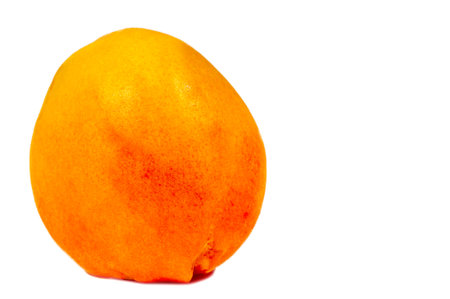 Apricot. A rare heritage variety from England in the early 1800s. The fruits are small to medium and have a very "apricot" flavor. Bright orange flesh, juicy and sweet when ripe, stone.の写真素材