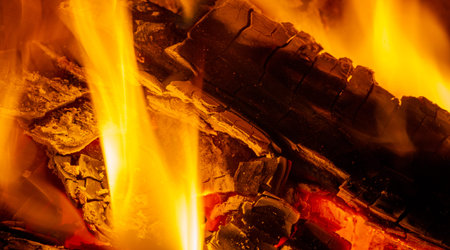 Fire in the fireplace. Fire is beneficial to most of our senses. We love the smell of smoke, the...