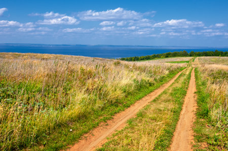 Summer landscape. River in the European part of the world. Sunny warm day. Green trees, grass. Blue sky with a small cloud cover.の写真素材