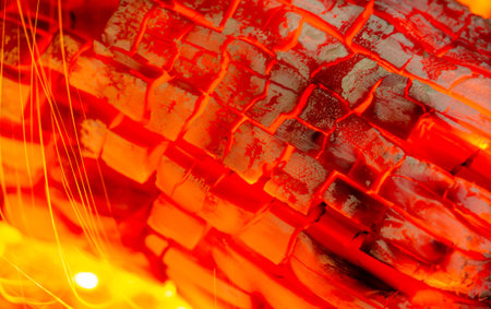 Fire in the fireplace. Fire is beneficial to most of our senses. We love the smell of smoke, the...