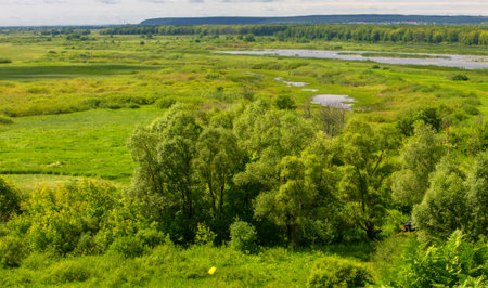 summer photography, mountains, pine, birch, oaks, hills, blue sky with white clouds, dirt road, winds sway among fir trees, bright red strawberries ripenの写真素材