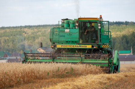 Summer photo of harvesting barley, the harvester mows barley in the fields. 2019 09 06 Tukaevsky District Tatarstan Russiaの写真素材