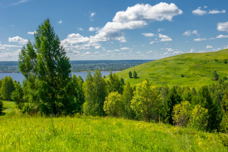 summer photography, mountains, pine, birch, oaks, hills, blue sky with white clouds, dirt road, winds sway among fir trees, bright red strawberries ripenの写真素材