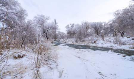 The river freezes in winter. In winter, the river turns into a real wonderland, and if you have...