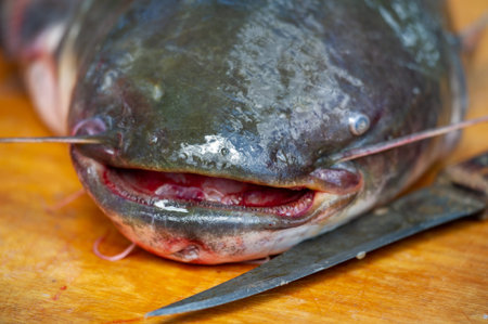 The fish is ready to eat. These are aquatic cold-blooded vertebrates that live both in the sea and...