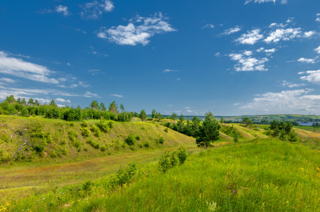 Summer landscape, river floodplain, picturesque shores, bright green grass with wild wildflowers, blue sky with white clouds, summer tender warm days,の写真素材