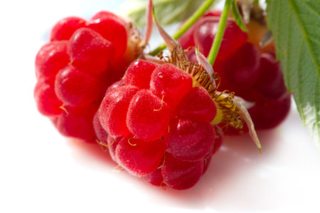 Raspberry. It's time to rejoice - it's finally raspberry season. There is something magical about...