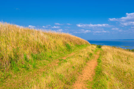 Summer landscape. River in the European part of the world. Sunny warm day. Green trees, grass. Blue sky with a small cloud cover.の写真素材